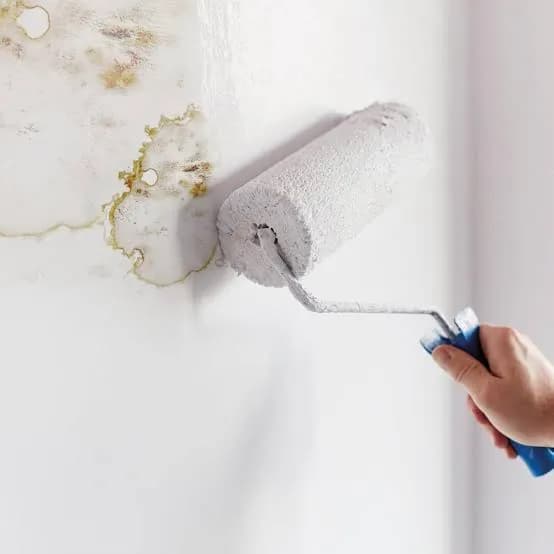 Anti-Mould Painting