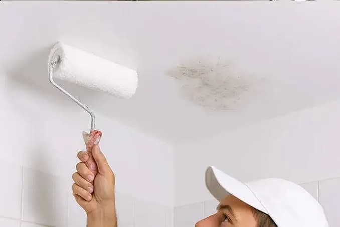 Why Homeowners Choose Us for Anti-Mould Painting